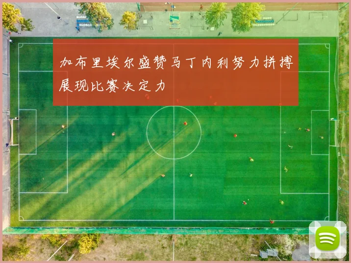 加布里埃尔盛赞马丁内利努力拼搏展现比赛决定力